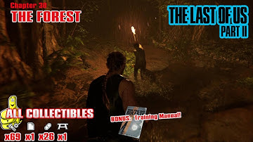 The Last of Us Part 2: Chap 30 / The Forest (All Collectibles) - HTG