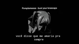 pomplamoose - bust your kneecaps (legendado/pt-br)