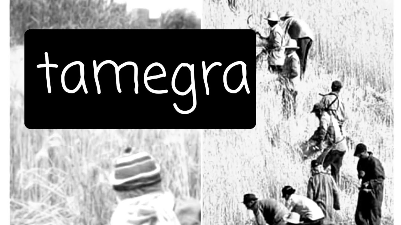 Tamazight :Adris asegzay n urmud .Sujet+correction+production écrite