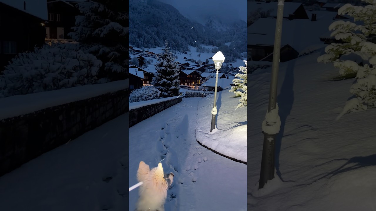 The best winter spring morning in @brienzamseeswiss #switzerland #travel #youtubeshorts