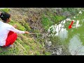 Unbelievable Amazing Best Hook Fishing Video | Best Fish Hunting Village Girl - Desi Video