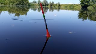 картинка: БІЛЯ ЯМИ ЗБИЛАСЯ ВСЯ ВЕЛИКА РИБА. Рибалка на поплавок