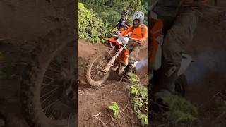 Little Man On The Pegs