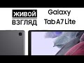 Живой взгляд Samsung Galaxy Tab A7 Lite 2021