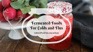 Podcast Episode 262: Fermented Foods For Colds and Flus