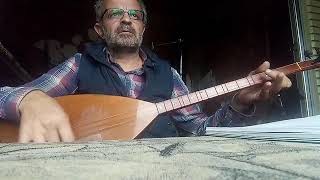 Armut Ağacı