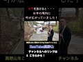【世界遺産】高野山の入口・大門を抜けると・・・！？ #shorts