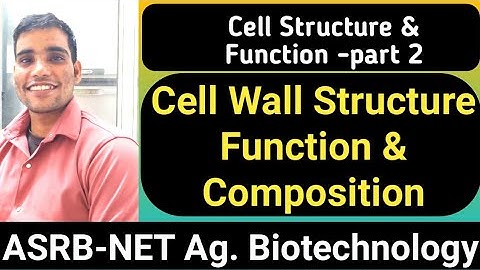 Cell Structure and Function part 2-(Cell Wall Structure, Function & Composition)