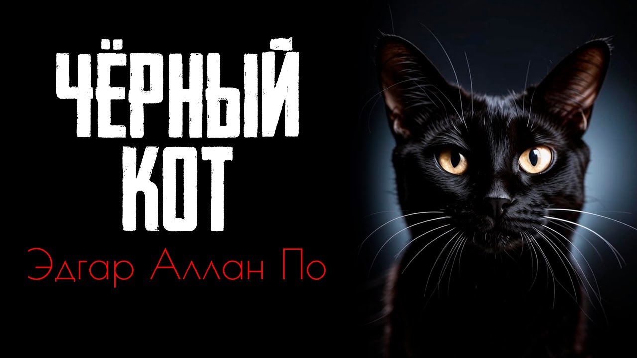 "Черный кот" - Эдгар Аллан По | Страшные истории на ночь - YouTube