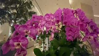 видео: Куда я иду в Дубае,когда мне морально не хорошо картинка: Куда я иду в Дубае,когда мне морально не хорошо