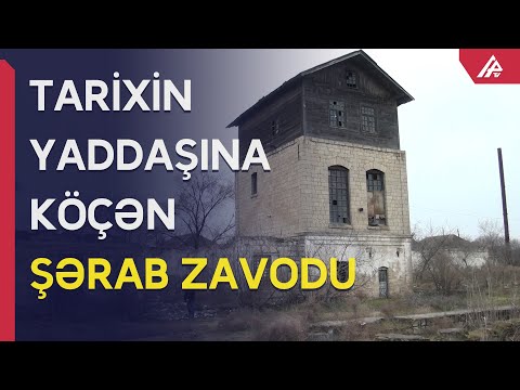 Video: Ən məşhur şərab ulduzları