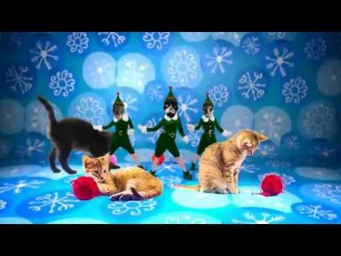 dancing christmas cat