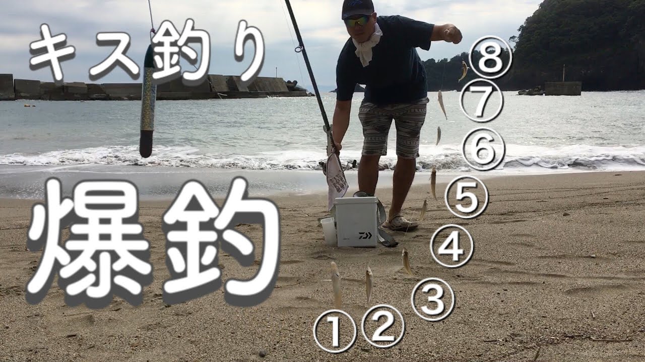 伊根町本庄浜でキスの連掛け！２時間半でクーラー満タン