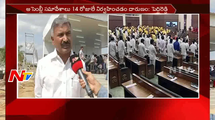 YCP Peddi Reddy Fires on TDP over Assembly Session...