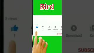 How to Draw a Bird #shorts #shortvideo #shortsyoutube