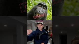 Dumbest Reasons People Sued