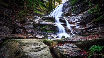 تأملات في قوله تعالى (وما من غائبة في السماء والأرض إلا في كتاب مبين ( 75 ) ) سورة النمل