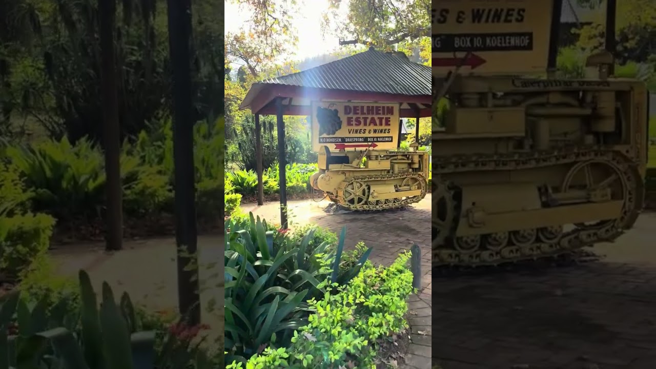 Wine tour in South Africa
