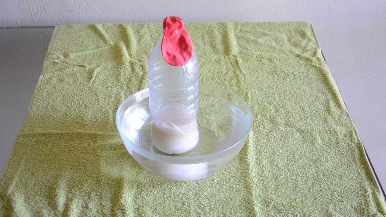 Experimento de fermentación- Llenar un globo con azúcar y levadura