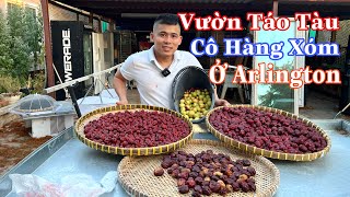 Niềm Vui Của Người Việt Khi Về Hưu Ở Mỹ