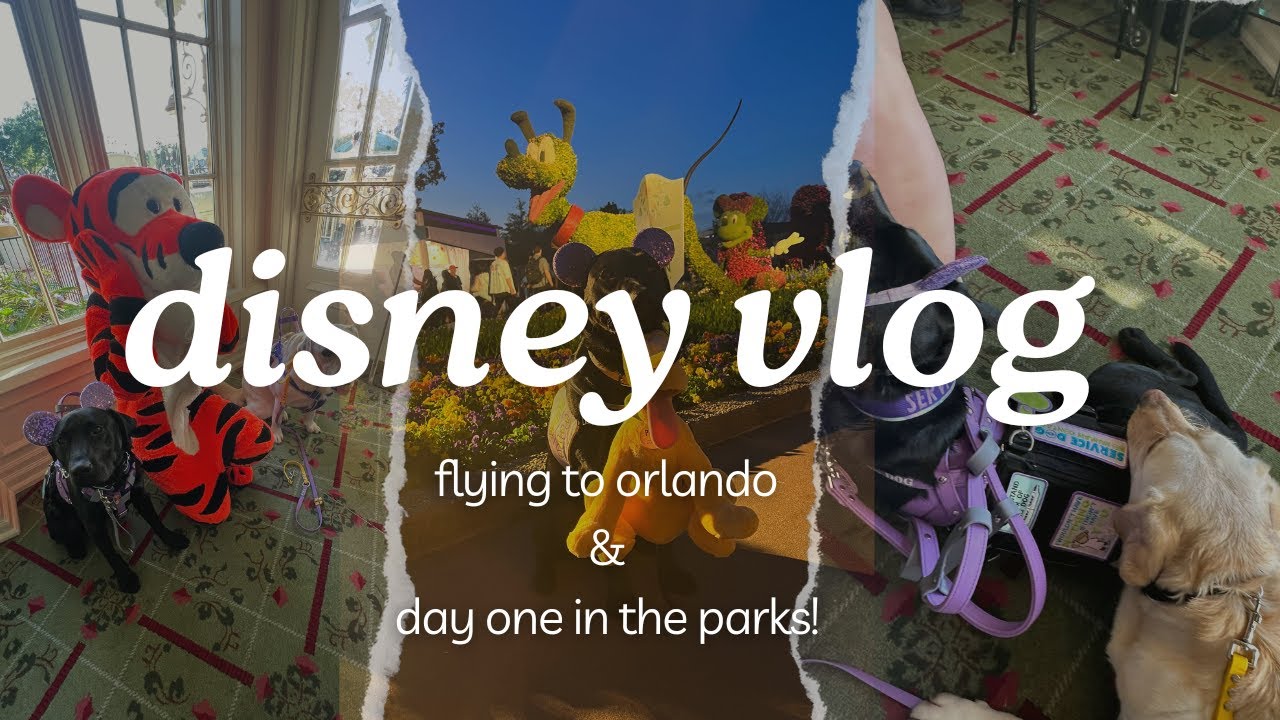 double-dogging-disney-service-dog-vlog-youtube