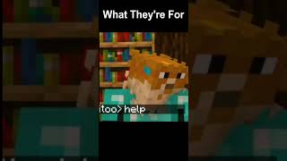 That's A Real Friend, #minecraft