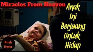 Alur Cerita Film Miracles From Heaven (2016) || Alur Film || Kisah Nyata || Film Kristiani
