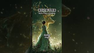 별자리별 정령들과 모델
