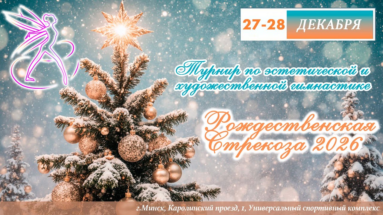 27.12.2025. Рождественская Стрекоза 2026. Эстетическая гимнастика. Часть 1