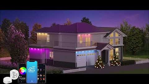 Unleash Your Creative Vision with Surplife