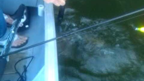 How to properly unhook a snapping turtle.