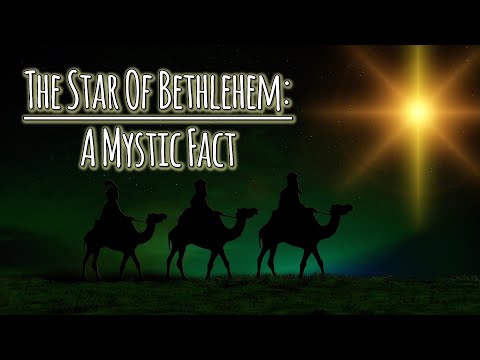 Video: Bethlehemsterfeite - Hoe om Bethlehemsterblombolle te laat groei