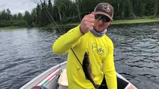 Jigging Shallow Weeds for Walleyes