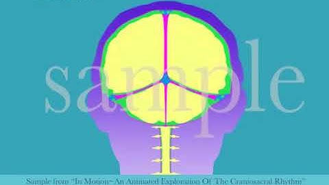 Intracranial Membrane System CSR Motion by Tad Wanveer