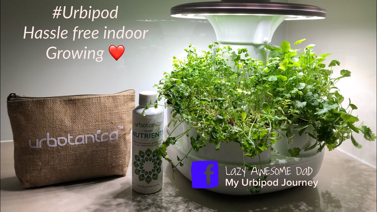 Unboxing And Set Up Of My Urbipod By Urbotanica How To Grow