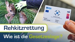 Die Rechtsgrundlage für die Rehkitzrettung mit Drohnen