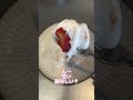 ひとりのイチゴ祭り