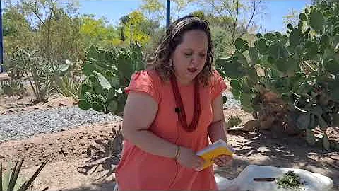 Lorena Sosa - 2022 Chihuahuan Desert Cultural Fell...