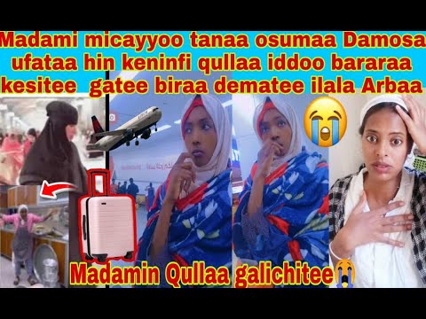 Madami Micayyoo Tanaa Osumaa Damosaa Ufataa Hin Keninfi Qullaa Iddoo Bararaa Geesite Gatee Biraa