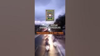 #storywa #LOYALIS PUNJER MADIUN PSHT TRENGGALEK