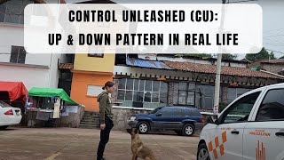 Control Unleashed (CU) Up/Down pattern game with a little Look At That (LAT) thrown in IRL