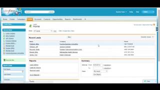 Salesforce Campaign Overview