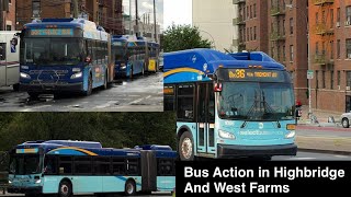NYC Bus: Highbridge and West Farms Bus Action