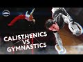 CALISTHENICS VS GYMNASTICS. 5 GYMNASTIC MOVES FROM PRO TRAINER.