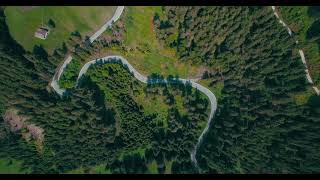 Footage drone jalan dan pepohonan