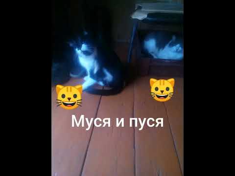 Каты - YouTube