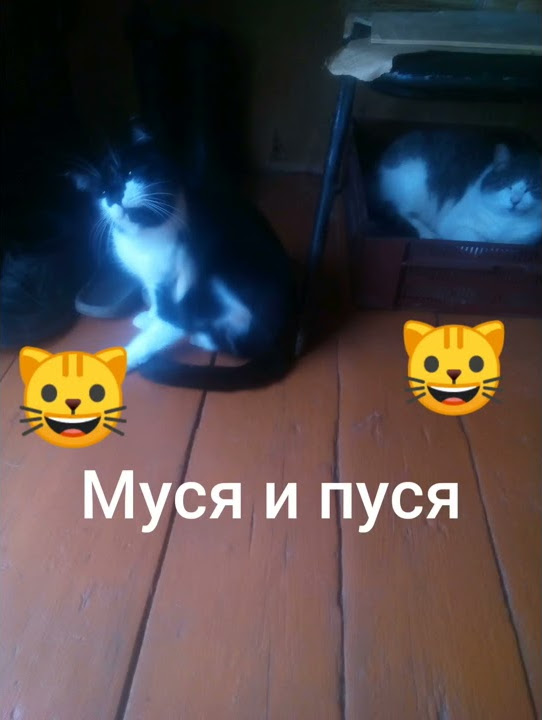 Каты - YouTube