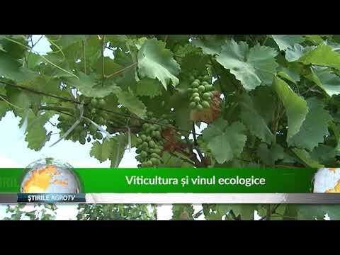 camera iphone 8 plus apk Viticultura si vinul ecologice 17 04 2019