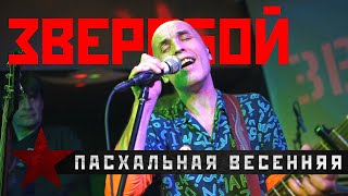 Зверобой - 