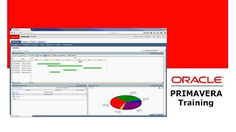 Primavera P6 Assigning Multiple Resources to an Activity Part 51